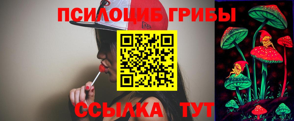 Псилоцибиновые грибы MAGIC MUSHROOMS Анжеро-Судженск